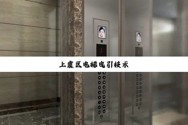 上虞区电梯曳引技术