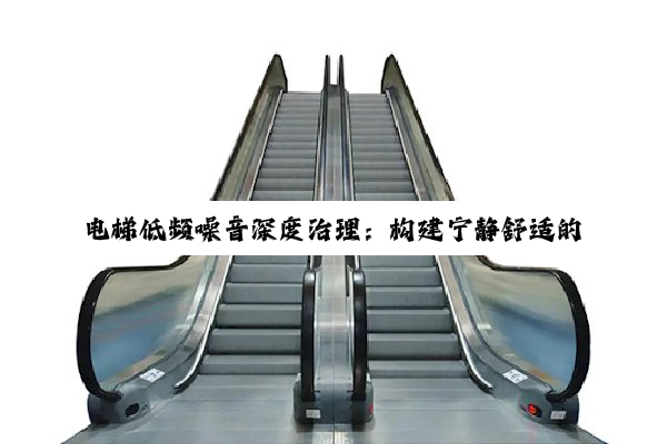 电(diàn)梯(tī)低(dī)频(pín)噪(zào)音(yīn)深(shēn)度(dù)治(zhì)理(lǐ):构(gòu)建(jiàn)宁(níng)静(jìng)舒(shū)适(shì)的(de)居(jū)住(zhù)环(huán)境(jìng)