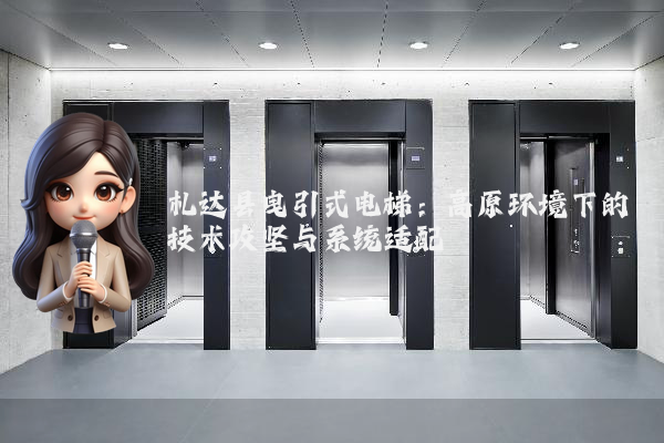 札达县曳引式电梯:高原环境下的技术攻坚与系统适配