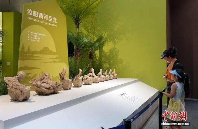 图为观众参观亚洲体腔最大的恐龙:汝阳黄河巨龙。中新社记者 安源 摄