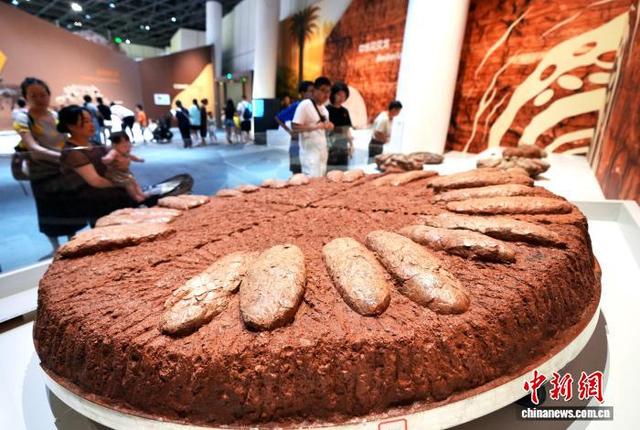 图为展览展出的世界上最大的恐龙蛋巢:西峡巨型长形蛋。中新社记者 安源 摄